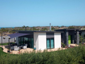 Gerding Haven Napier